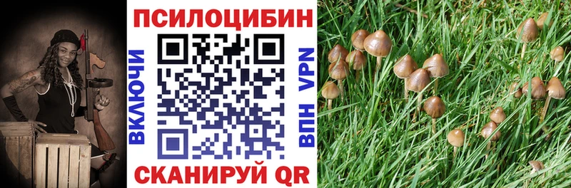 Псилоцибиновые грибы GOLDEN TEACHER  Щучье 